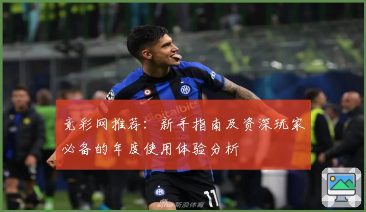 竞彩网推荐：新手指南及资深玩家必备的年度使用体验分析