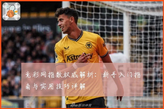 竞彩网指数权威解析：新手入门指南与实用技巧详解