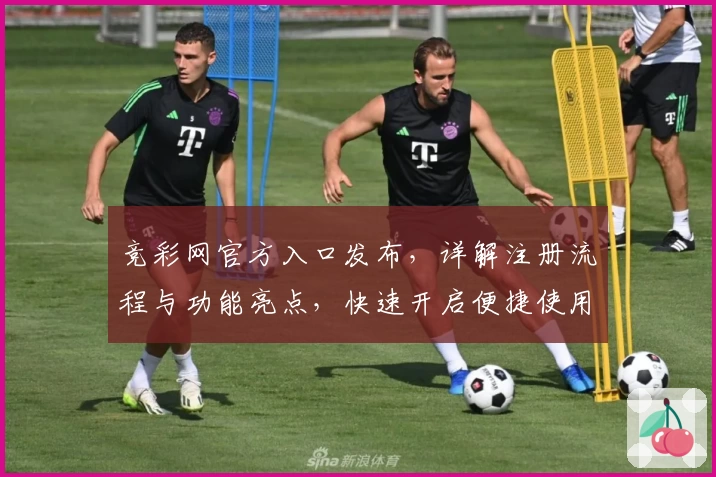 竞彩网官方入口发布，详解注册流程与功能亮点，快速开启便捷使用体验