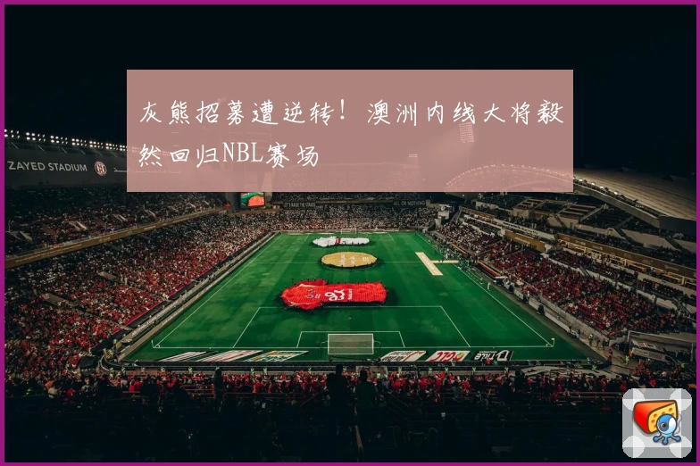 灰熊招募遭逆转!澳洲内线大将毅然回归NBL赛场