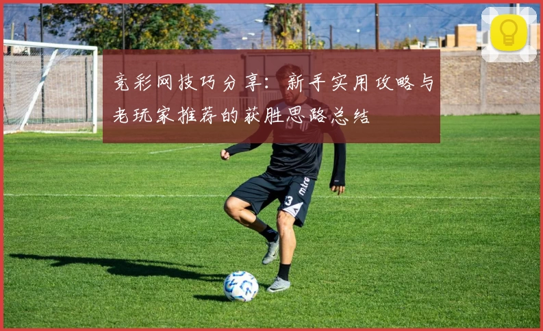 竞彩网技巧分享：新手实用攻略与老玩家推荐的获胜思路总结